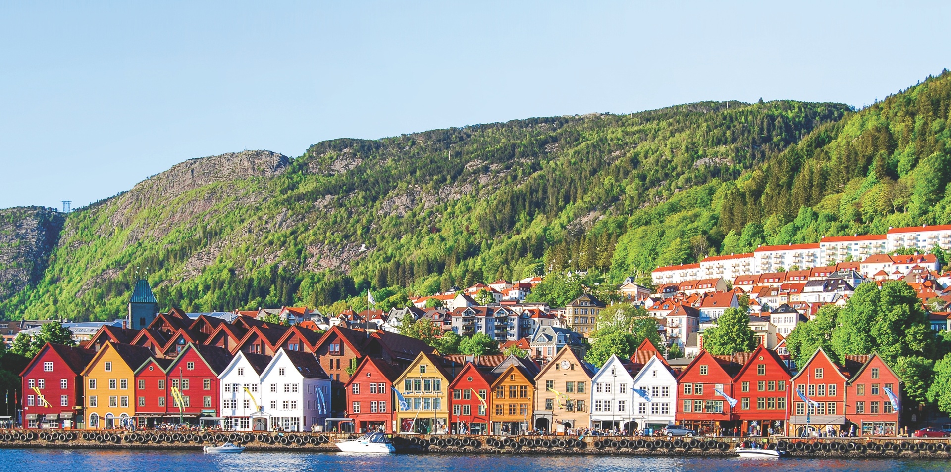 Norwegian Fjord Journey