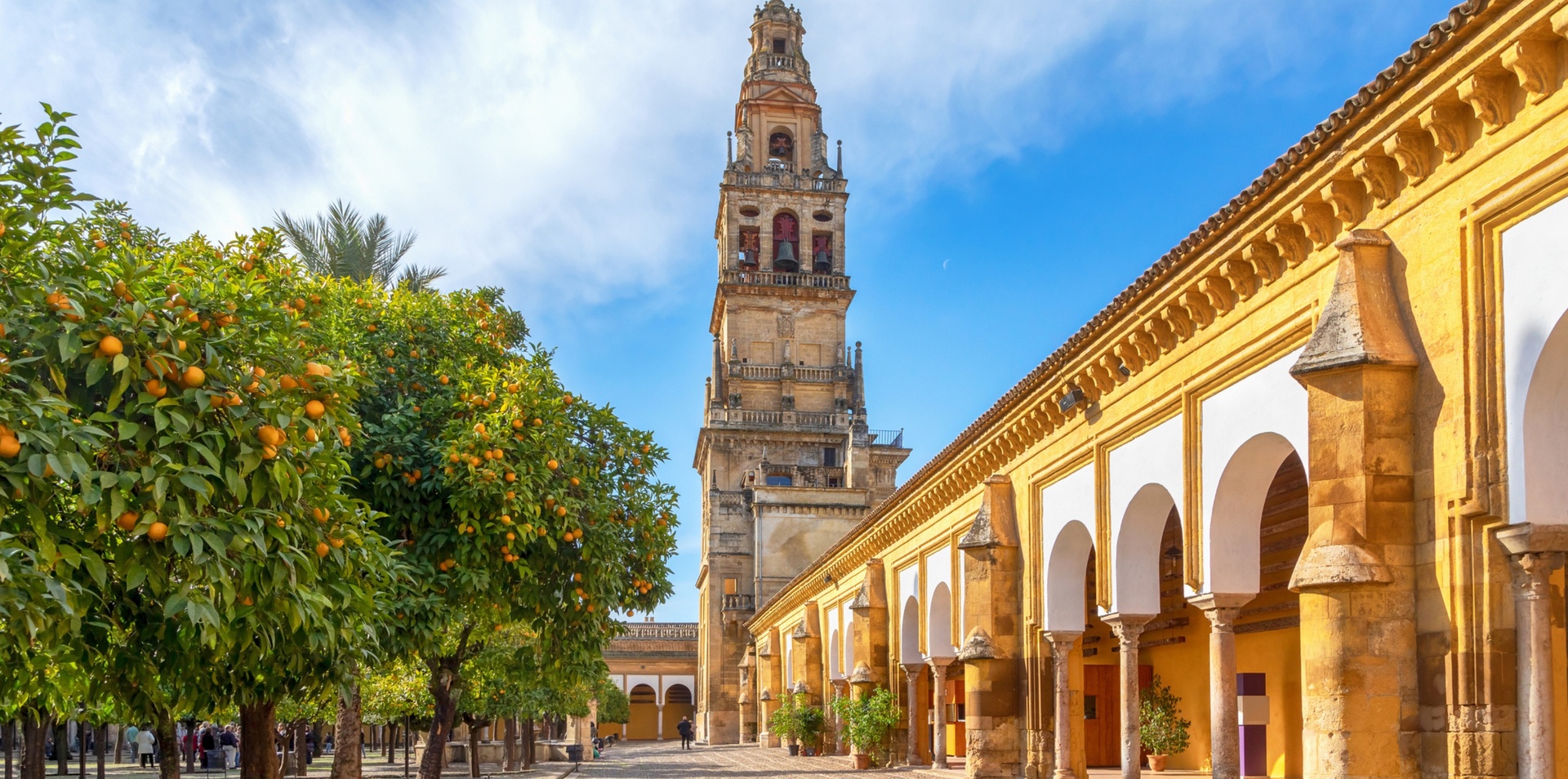 Passage Through Cultures